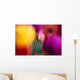 Selective Focus Tulip Flower Field Wall Mural