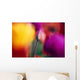 Selective Focus Tulip Flower Field Wall Mural