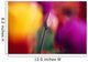 Selective Focus Tulip Flower Field Wall Mural