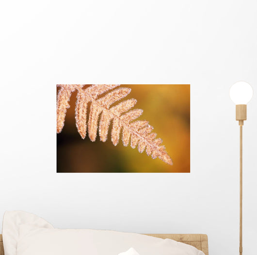 Frost On A Fern Leaf Wall Mural