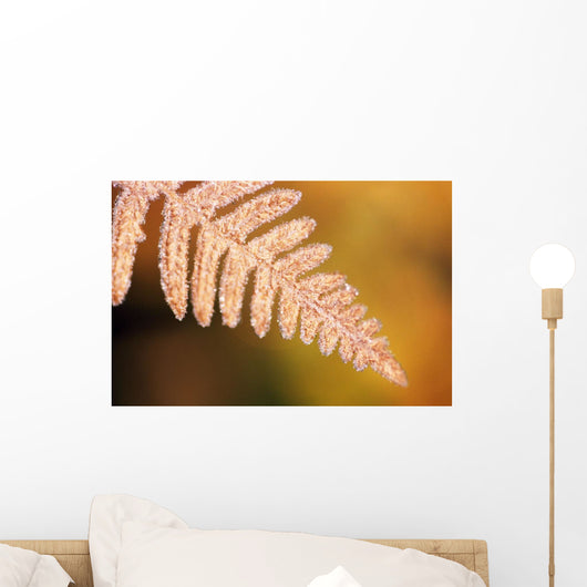 Frost On A Fern Leaf Wall Mural