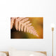 Frost On A Fern Leaf Wall Mural