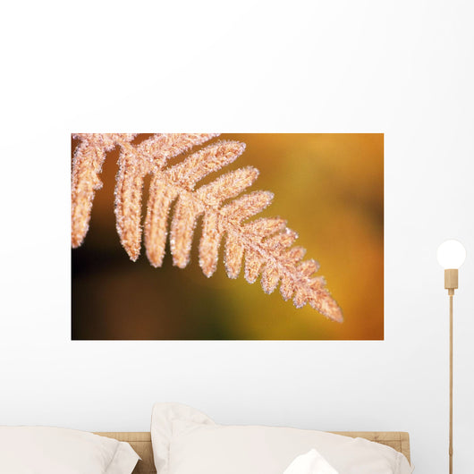Frost On A Fern Leaf Wall Mural