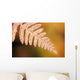 Frost On A Fern Leaf Wall Mural