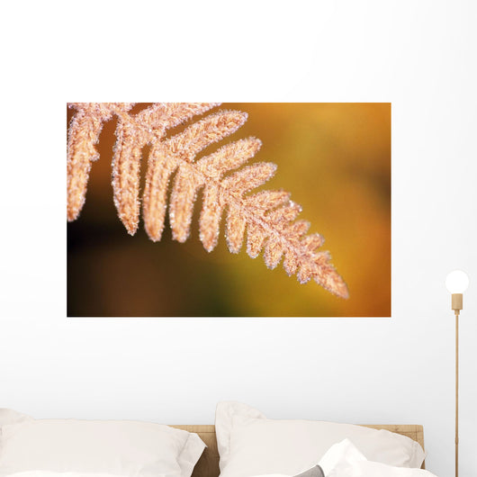 Frost On A Fern Leaf Wall Mural