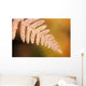 Frost On A Fern Leaf Wall Mural