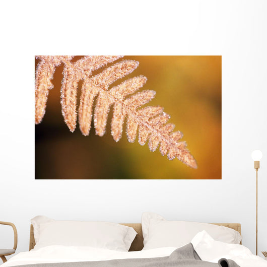 Frost On A Fern Leaf Wall Mural