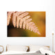 Frost On A Fern Leaf Wall Mural