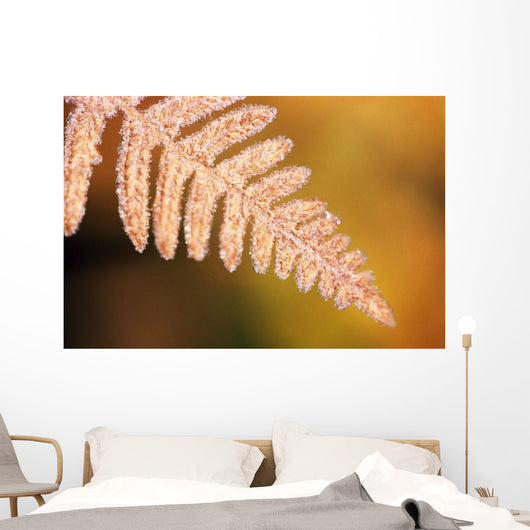 Frost On A Fern Leaf Wall Mural