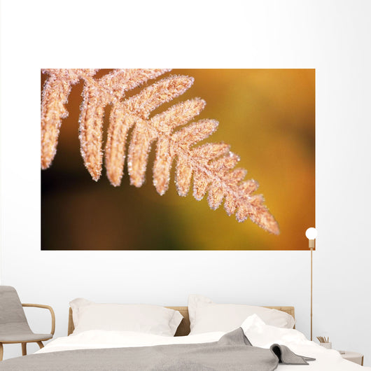 Frost On A Fern Leaf Wall Mural
