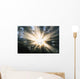 Sunrays Through A Forest Wall Mural