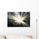 Sunrays Through A Forest Wall Mural