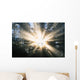 Sunrays Through A Forest Wall Mural