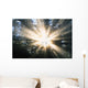 Sunrays Through A Forest Wall Mural