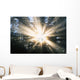 Sunrays Through A Forest Wall Mural