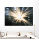 Sunrays Through A Forest Wall Mural