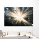 Sunrays Through A Forest Wall Mural