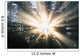 Sunrays Through A Forest Wall Mural