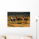Wild Horses Running Together Wall Mural