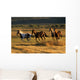 Wild Horses Running Together Wall Mural