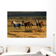 Wild Horses Running Together Wall Mural
