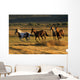 Wild Horses Running Together Wall Mural