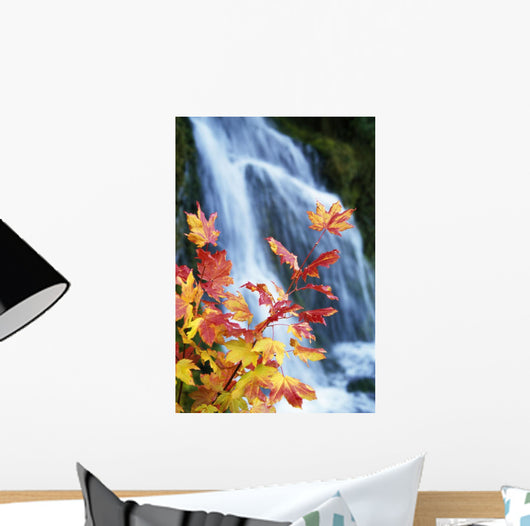 Maple Vine With Waterfall Wall Mural