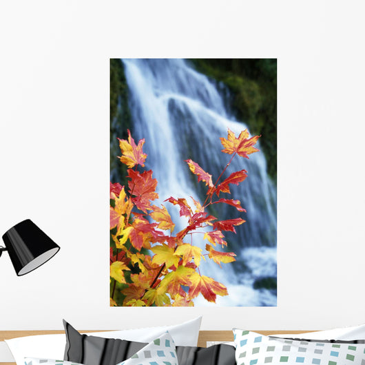 Maple Vine With Waterfall Wall Mural