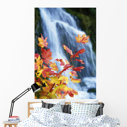 Maple Vine With Waterfall Wall Mural