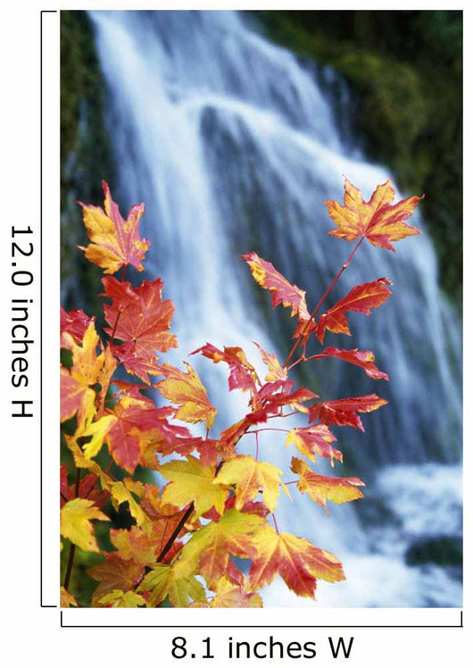 Maple Vine With Waterfall Wall Mural