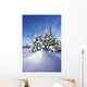 Snow-Covered Pine Trees Wall Mural