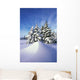 Snow-Covered Pine Trees Wall Mural