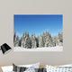 Winter Nature