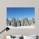 Winter Nature