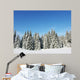 Winter Nature