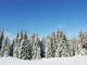 Winter Nature