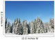 Winter Nature