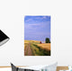 Dirt Road Through Wheat Field Wall Mural