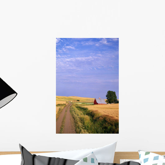 Dirt Road Through Wheat Field Wall Mural