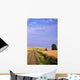 Dirt Road Through Wheat Field Wall Mural