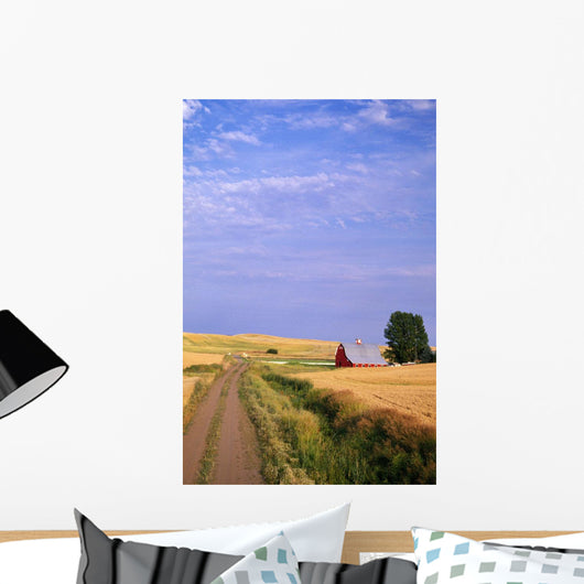 Dirt Road Through Wheat Field Wall Mural