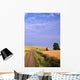 Dirt Road Through Wheat Field Wall Mural