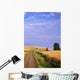 Dirt Road Through Wheat Field Wall Mural