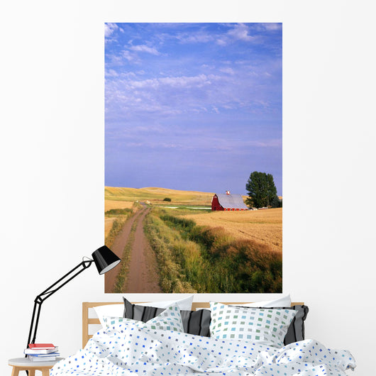 Dirt Road Through Wheat Field Wall Mural