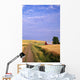 Dirt Road Through Wheat Field Wall Mural