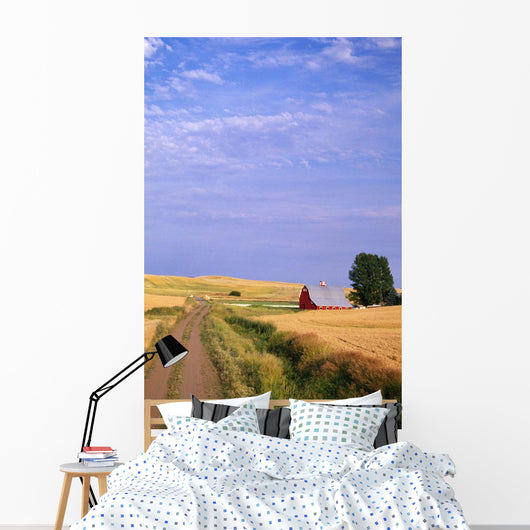 Dirt Road Through Wheat Field Wall Mural
