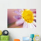 Detail Of Flower Blossom With Dew Drops Wall Mural