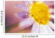 Detail Of Flower Blossom With Dew Drops Wall Mural