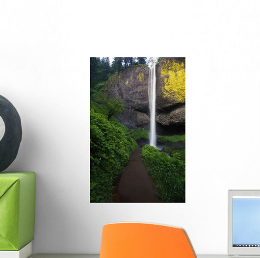Lush Foliage Along Path To Latourell Falls Wall Mural