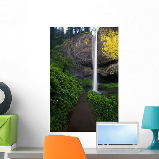 Lush Foliage Along Path To Latourell Falls Wall Mural